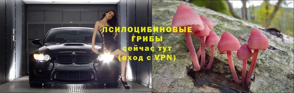 гашик Нягань