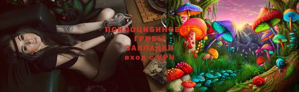 бошки Няндома