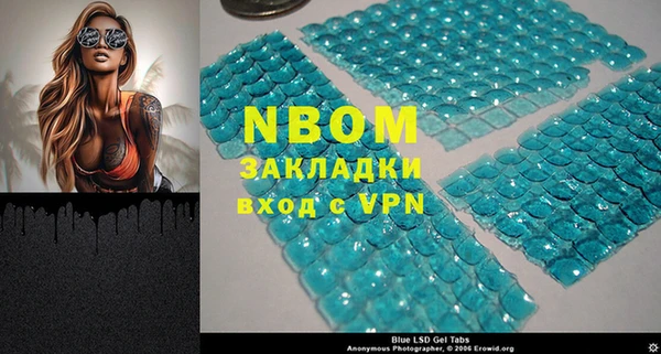 гашик Нягань