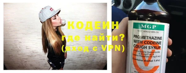 бошки Няндома