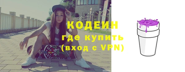 бошки Няндома
