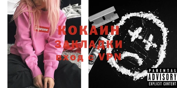 бошки Няндома
