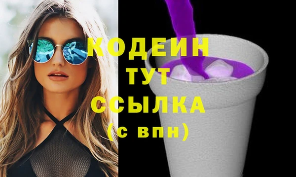 бошки Няндома