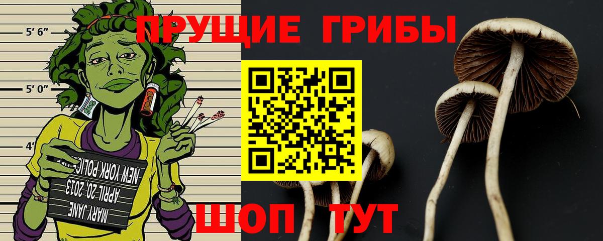Удомля  Галлюциногенные грибы Cubensis  Псилоцибиновые грибы мицелий  Вход с VPN 