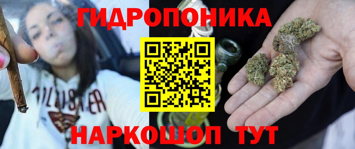 Канабис White Widow  Каннабис AK-47  Марихуана ГИДРОПОН  Вход с VPN  Удомля  Каннабис тримм 